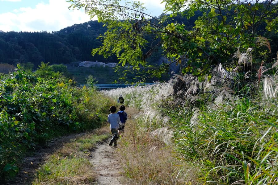 風の映画舎|田代陽子監督作品|長野県信級