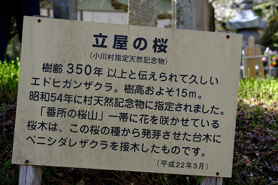 風の映画舎｜田代陽子監督作品｜長野県信級