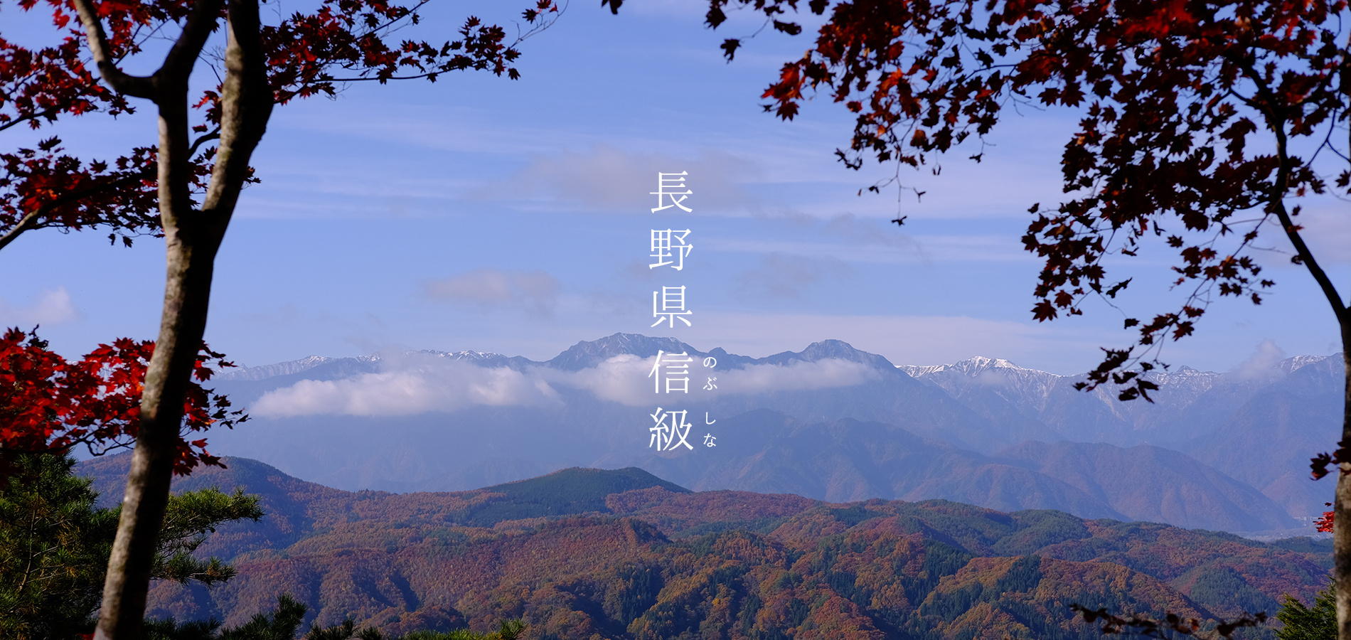 風の映画舎｜田代陽子監督作品｜長野県信級